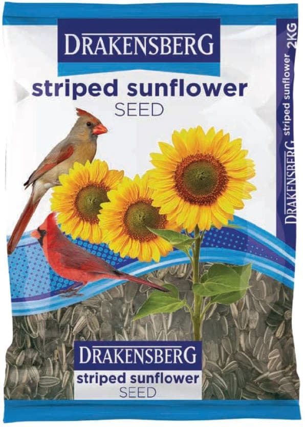 Drakensberg Sunflower Seed (5kg) - image 1